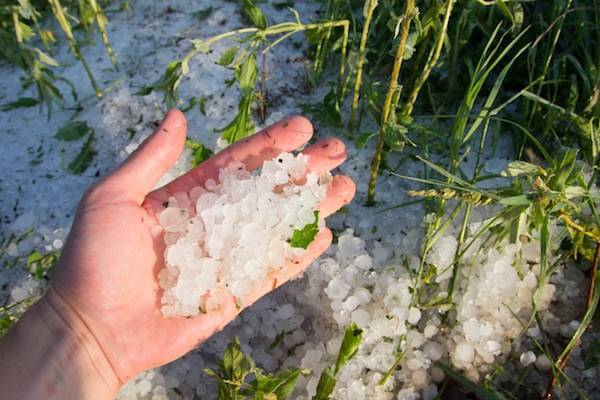 Hail or hailstone facts