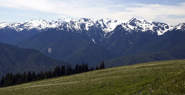 Olympic National Park