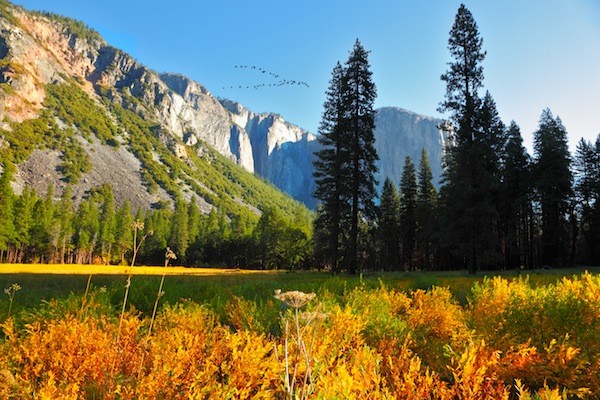 Yosemite National Park Information