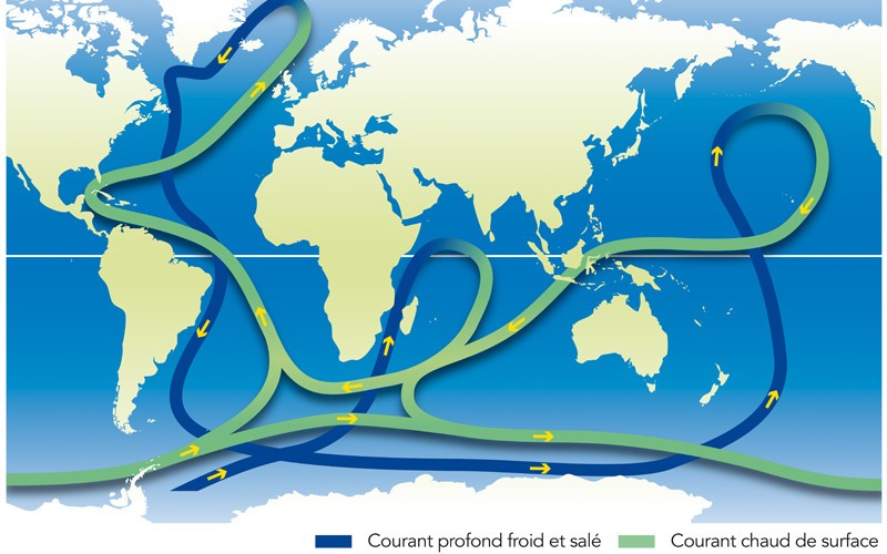 Types of ocean currents.