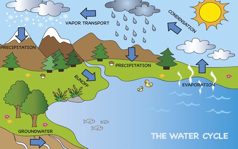 The hydrological process.