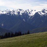 Olympic National Park picture
