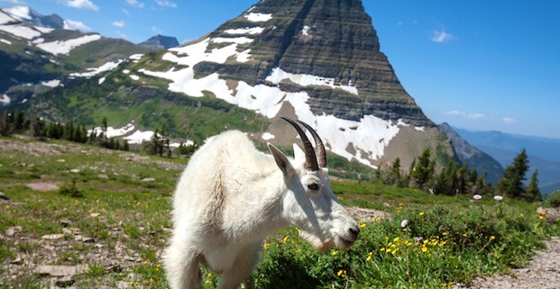Glacier National Park