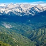 Sequoia National Park picture