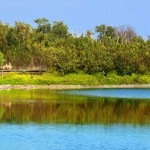 Everglades National Park picture