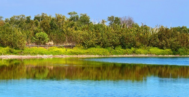 Everglades National Park