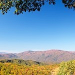 Fall colors woods in the Smoky Mountains National Park