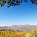 Fall colors woods in the Smoky Mountains National Park