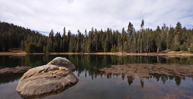 Kings Canyon National Park