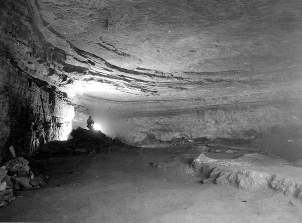 Mammoth cave National Park Facts and information