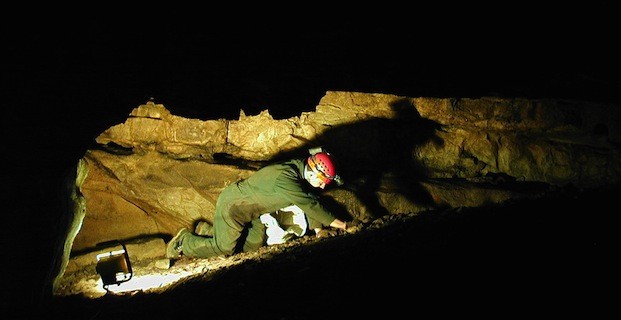 Mammoth Cave National Park