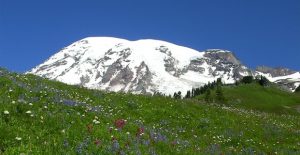 Mount Rainier National park Facts