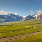 Denali national park picture