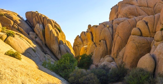 Joshua Tree National Park