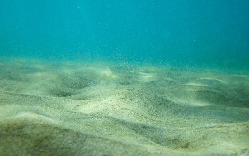 Seabed structure 