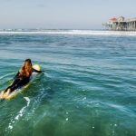 how to read a surf report