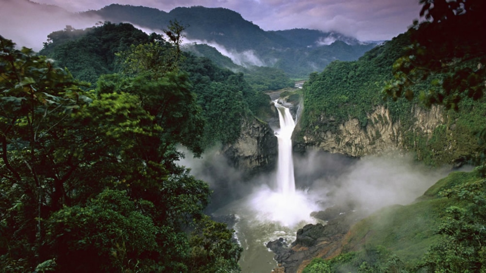 1. THE AMAZON FORESTS