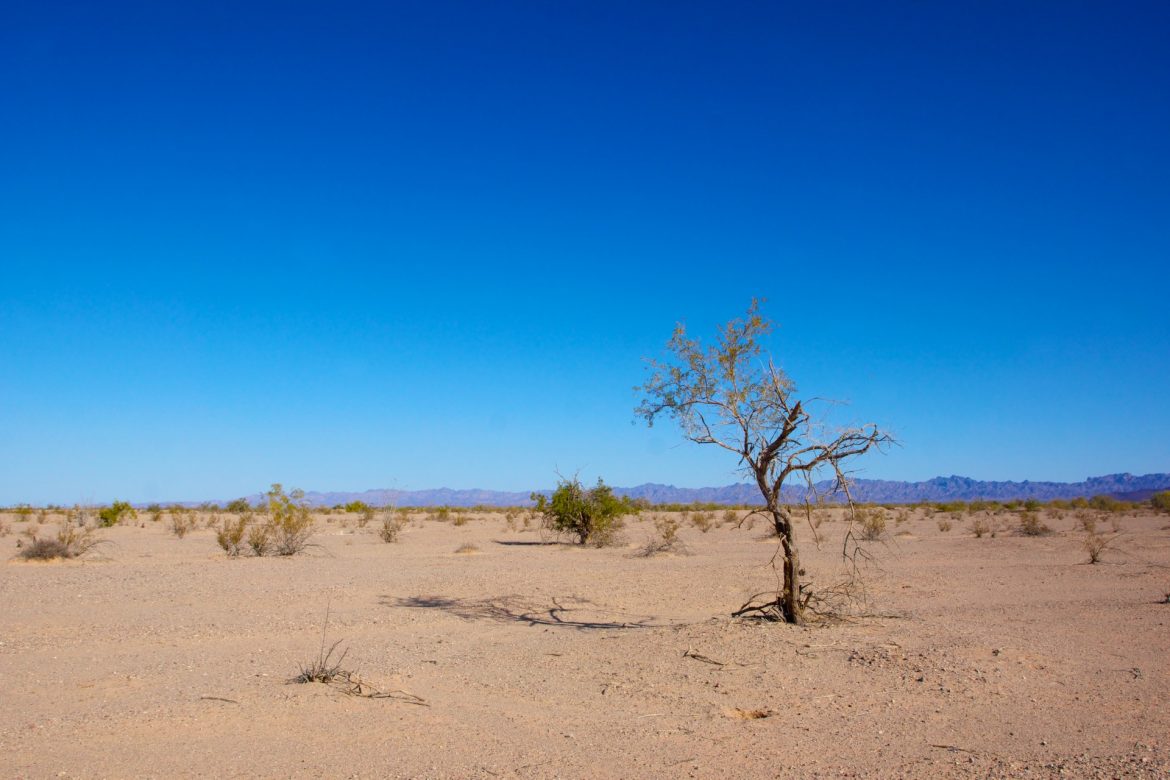List of Top 10 Largest/ Biggest Deserts in the World - Basic Planet