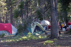 Modoc-National-Forest-Dispersed-Camping