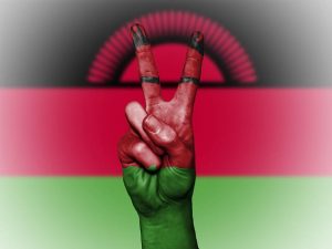 Terrorism-Risk-in-Malawi-LOW